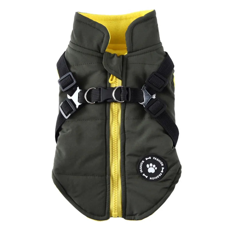 Winter Dog Coat - Cotton-Padded Jacket for Senior Dogs