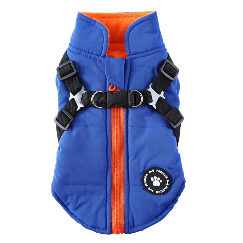 Winter Dog Coat - Cotton-Padded Jacket for Senior Dogs