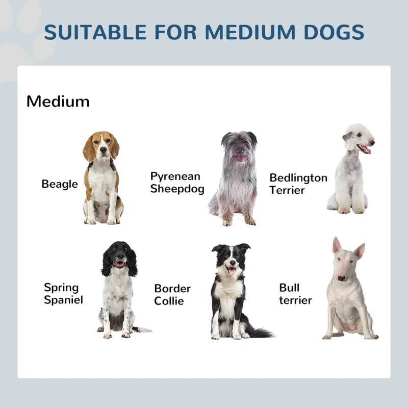 Elevated Dog Feeder for Medium Dogs - Stainless Steel Double Bowl Stand