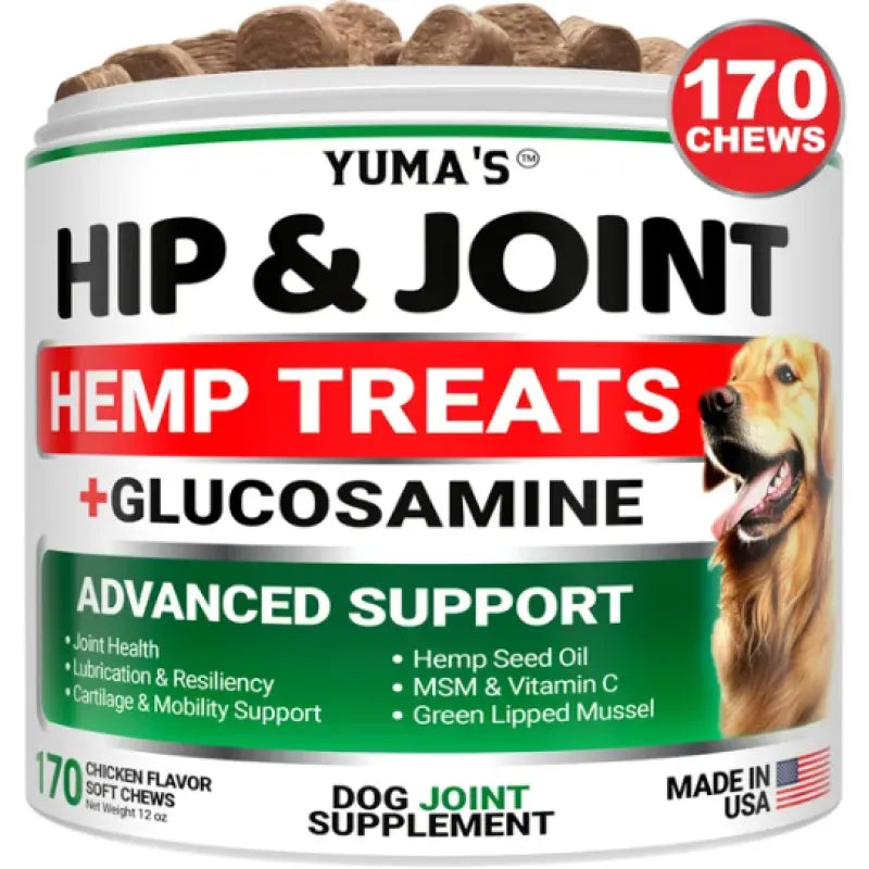 Hip & Joint Supplement for Senior Dogs - Glucosamine Chews