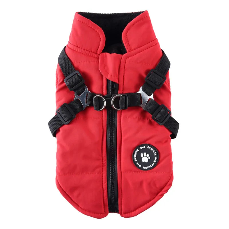 Winter Dog Coat - Cotton-Padded Jacket for Senior Dogs